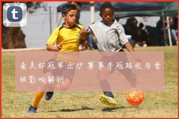 南美杯冠军出炉 赛事夺冠路径与晋级影响解析