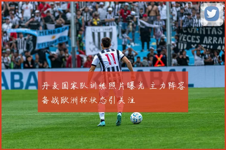 丹麦国家队训练照片曝光 主力阵容备战欧洲杯状态引关注