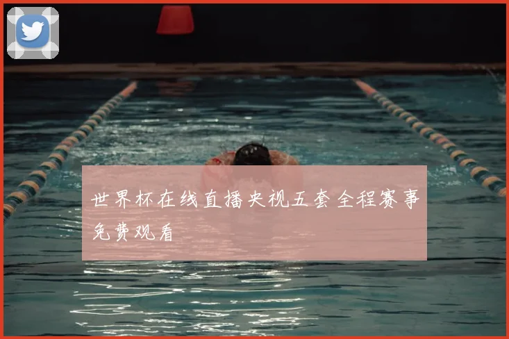 世界杯在线直播央视五套全程赛事免费观看