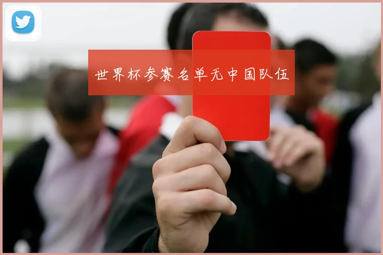 世界杯参赛名单无中国队伍